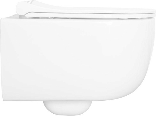 Allen Brau Унитаз с инсталляцией Priority 4.31002.20/8.9466.0.000.000.1 белый глянец – картинка-35